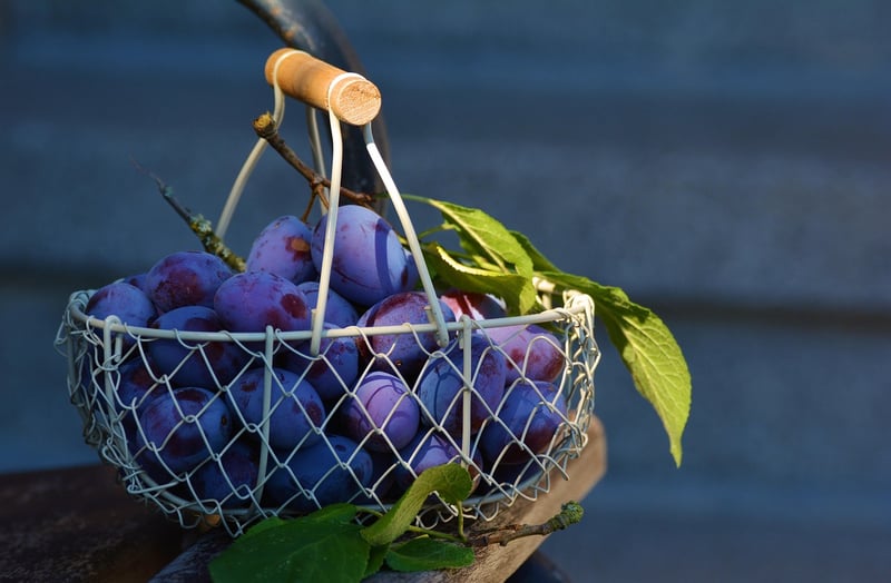 Create gift baskets